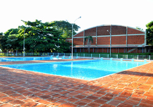 MariaCecilia.ARQUIVO.P