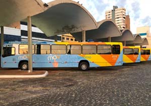 Onibus novos 2