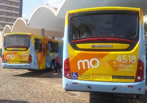 Onibus novos 3