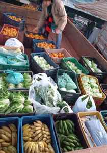 alimento.hospital.D2