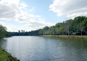 descobrindo.parque.ARQUIVO.P