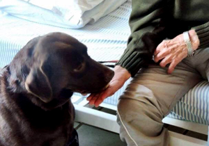 amor.em.pelo.foto amor em pelo.P