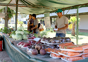 feira-agricultura-3-ARQUIVO