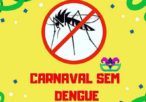 carnaval.sem.dengue.DP