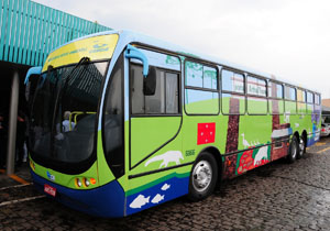 Entidades comemoram Dia Mundial do Ambiente  