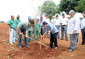 Uma parceria entre a Prefeitura de Londrina e a Maternidade Municipal prevê o plantio de uma árvore para cada criança nascida na instituição