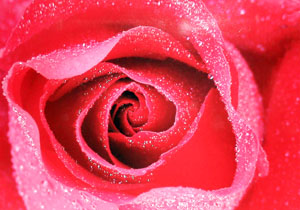 “Sábado Tem Arte no Museu” chega a sua 9ª edição FotoclubeP