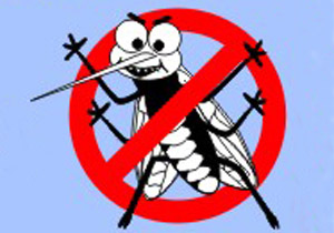 Saúde promove reunião do Comitê Municipal da Dengue DengueP