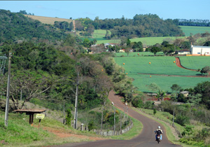 Estrada Rural