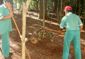 Sema executa limpeza do Bosque