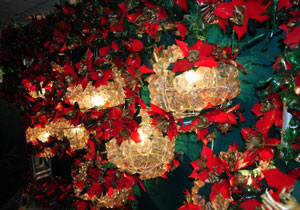 Natal do Amor 2010 será aberto na praça Tomi Nagakawa Natal do Amor 2010 será aberto na praça Tomi Nagakawa