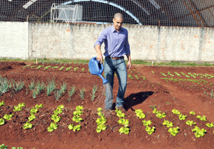 Localizada entre as ruas Verona e Palermo, horta terá 900 m² com plantio de alface, almeirão, rúcula, cebolinha, salsinha, couve, rabanete e cenoura 