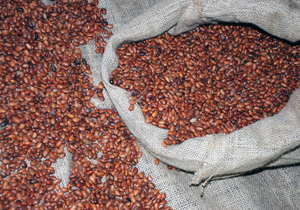 Alimentos comprados de protudores familiares serão doados a famílias em situação de insegurança alimentar