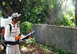 Candidatos a agente de endemias enfrentará concorrência de 3,67 por vaga Candidatos a agente de endemias enfrentará concorrência de 3,67 por vaga