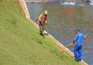 CMTU realiza capina e roçagem em nove pontos da cidade