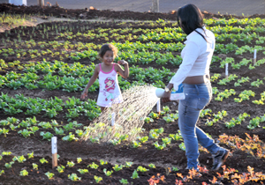 Prefeito entrega horta comunitária no Jamile Dequech