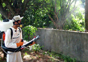 A secretária municipal da Saúde, Ana Olympia Velloso Marcondes Dornellas, afirmou que a parceria com o Estado vem a reforçar o combate à dengue. “A Secretaria Municipal de Saúde não está medindo esforços no combate ao mosquito. Essa parceria com o governo estadual reforçará as medidas.”