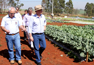 Londrina recebe Hortinorte Paraná 2013