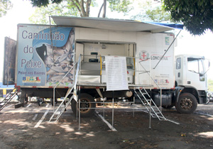 População pode comprar Tilápia, Pacú, Matrinxã, Bagre e Carpa na feira em frente à Praça Tomi Nakagawa; Caminhão do Peixe comercializa produtos na Prefeitura