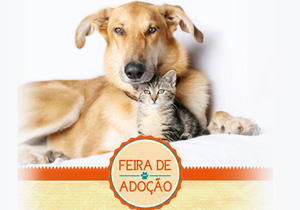 Interessados em adotar devem ser maiores de 18 anos; apresentar RG e comprovante de residência