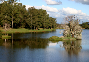 decreto.forum21.ARQUIVO
