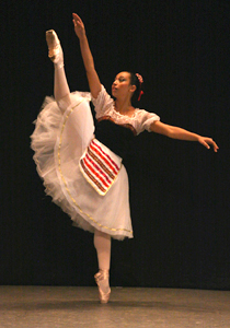 dança.funcart2 foto de Renato Forin Jr