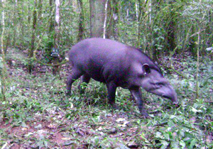 expo.mata.godoy.DIVULGAÇÃO 2