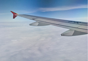 Museu de Arte de Londrina abre Mostra “Desejo e Reparação”