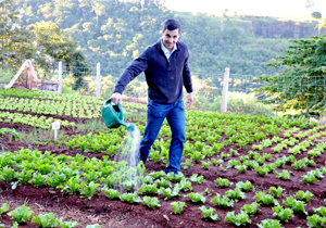 Londrina ganha a 42ª horta comunitária no jardim São Marcos