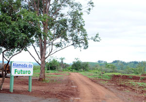 Segundo o secretário de Ambiente, José Novaes Faraco, dez pessoas estão trabalhando no plantio. “São funcionários da empresa Kurica Ambiental, que ganhou a licitação e agora é responsável pelo plantio e cuidado com as mudas”, contou.