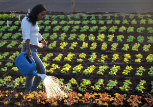 Prefeito inaugura 25ª horta comunitária no jardim Tocantins