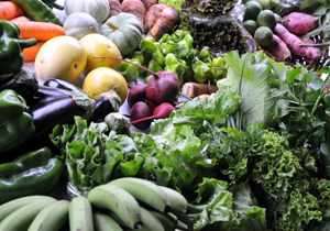 Cesta Verde atendeu 65 famílias no Franciscato